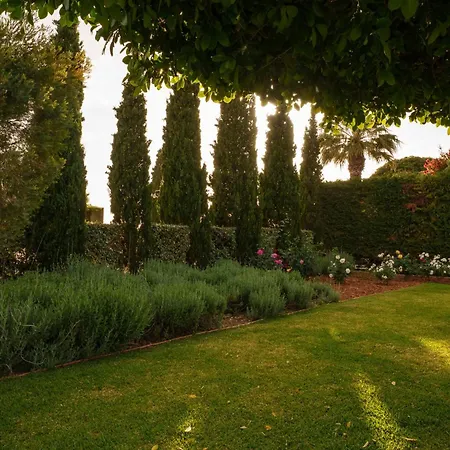 Despina 阿尔戈斯托利翁