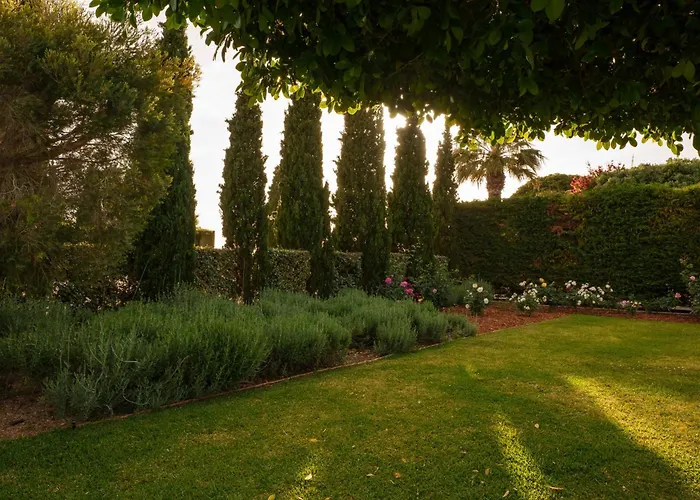 Despina 阿尔戈斯托利翁